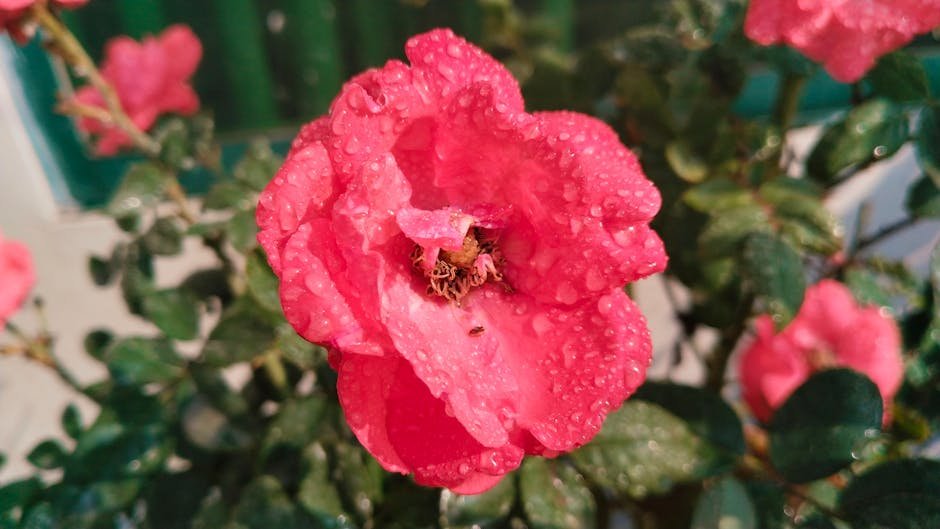 The Ultimate Tinted Moisturizer Guide for Glow-Getter Skin No Really