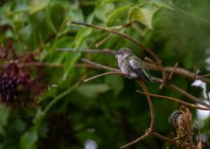 Anna Baryshnikovs Idiotka Is a Wild Ride And Shes Still Wearing That Valentino