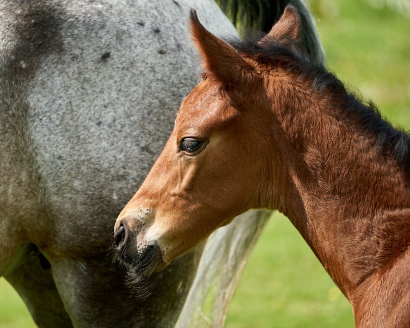 Chappell Roans Vintage Vibe Rewearing Keira Knightleys Iconic Atonement Dress