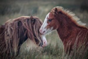 Chappell Roans Grammy Look Prosthetics Printers and a Whole Lot of Drama