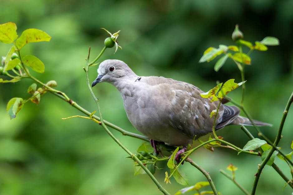 Okay so I need to rewrite this article for valleygirlvibecom Let me start by understanding the requi