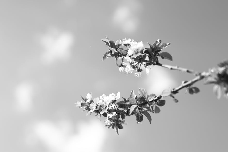 Which Toner Wins Eqqualberry vs S Nature