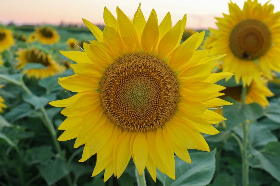 This Bronzing Serum Is So Good Youll Think Youre on Vacation Even If Youre Not