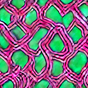 The Ultimate Benefit Mascara RankingNo Fluff Just Lash Goals