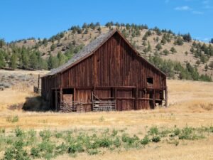 North West and Blue Ivy Just Accidentally Became Fashion Twins