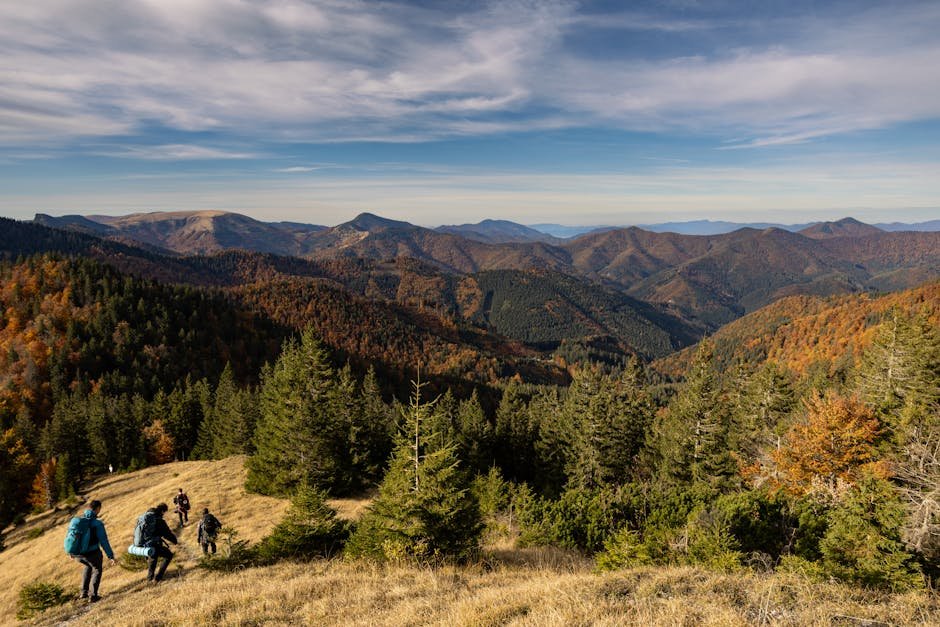 AB is Back But Wheres My Favorite Serum