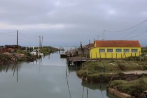 Selena Gomez Rocks a Matrix Vibes Look at Brooks Naders Birthday Bash