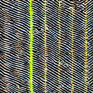 Carolyn Bessette-Kennedys 90s Vibes Are Back Thanks to Love Story