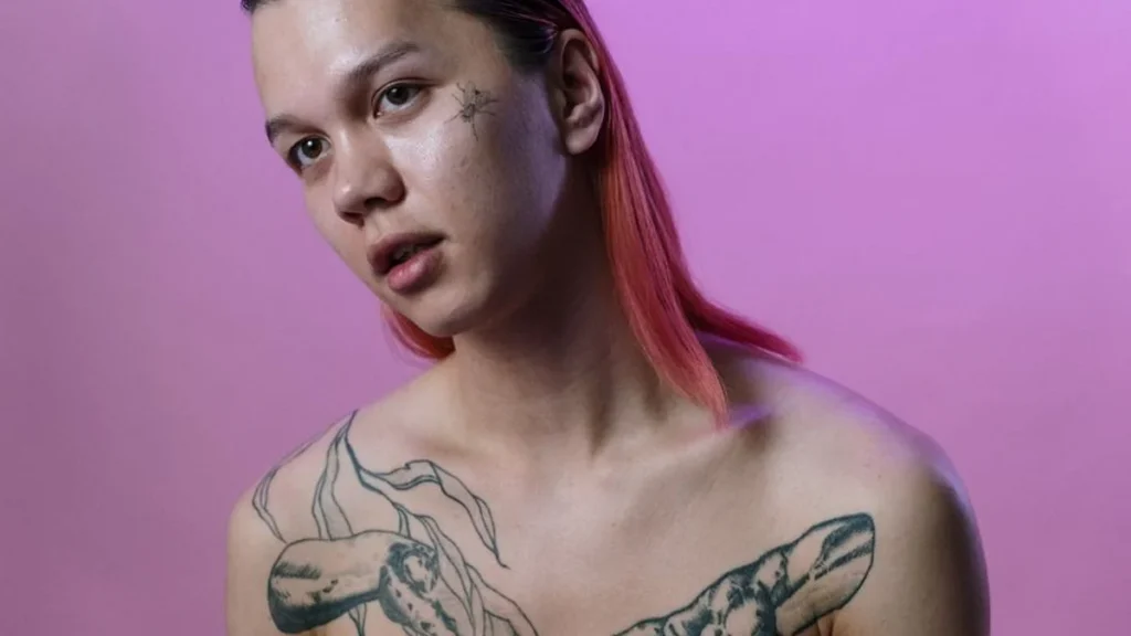 A close-up portrait of Nettspend with magenta hair and a sequined shirt.