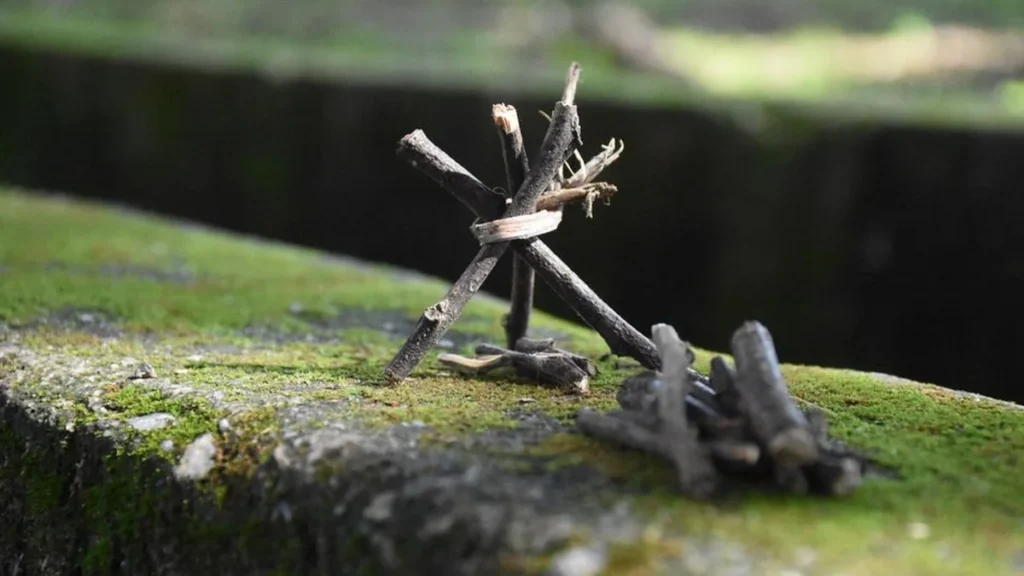 A wooden shinty stick and leather ball resting on moss in a Scottish forest.