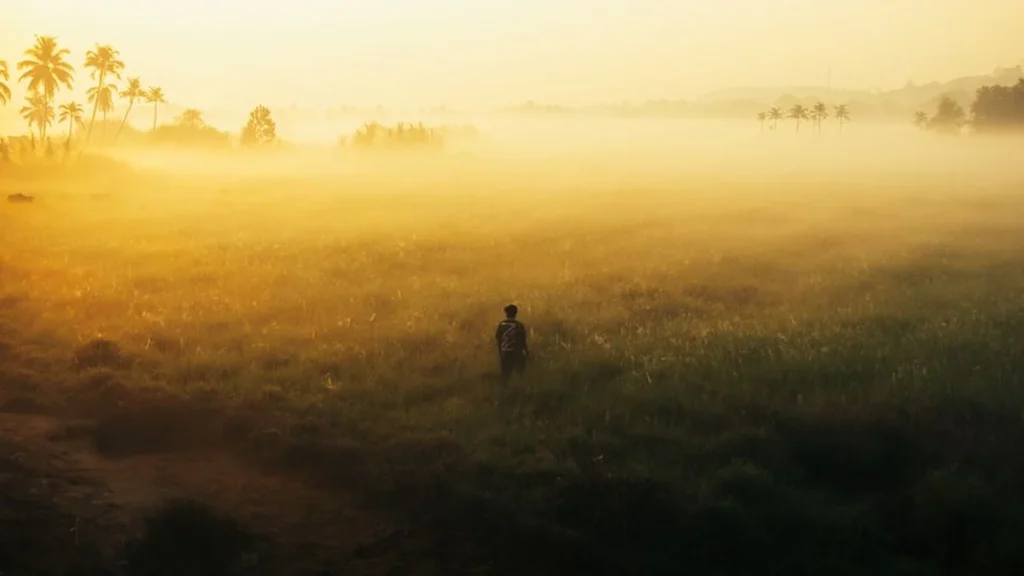 A hopeful young man standing in a field of wildflowers during a sunrise in Panem.