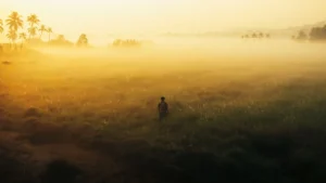 A hopeful young man standing in a field of wildflowers during a sunrise in Panem.